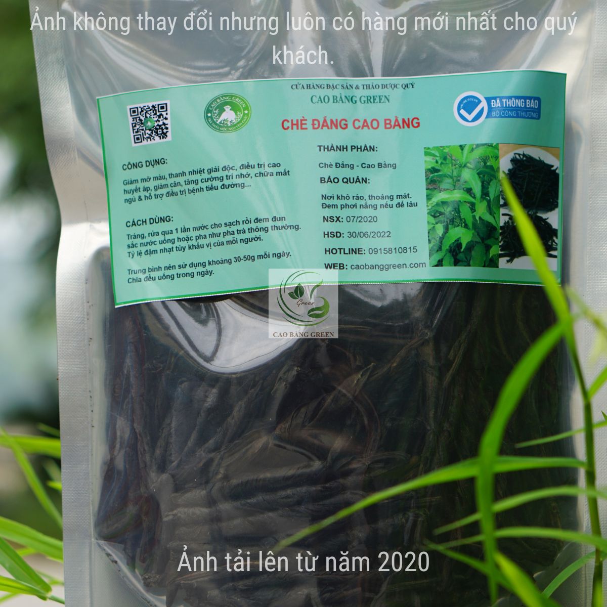 Chè Đắng Cao Bằng - 500g 6 Cách sử dụng chè đắng.