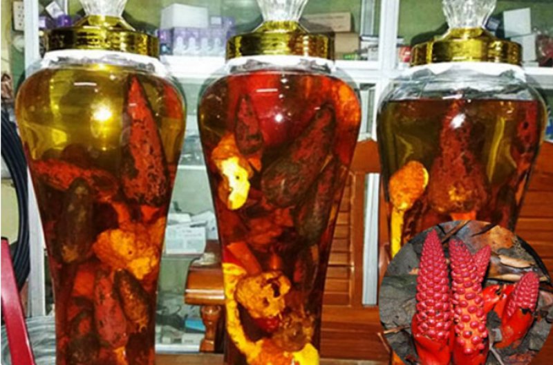 Nấm Ngọc Cẩu Khô - 1 Kg 14 Rượu nấm ngọc cẩu đem lại rất nhiều tác dụng vượt trội khác nhau.