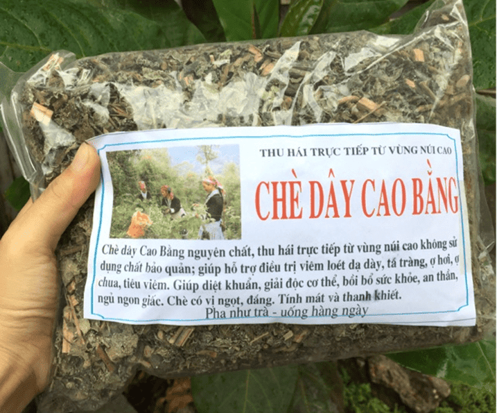 Đặc sản Cao Bằng: Top những món ngon nổi tiếng năm 2026 15 Cách ủ chè dây