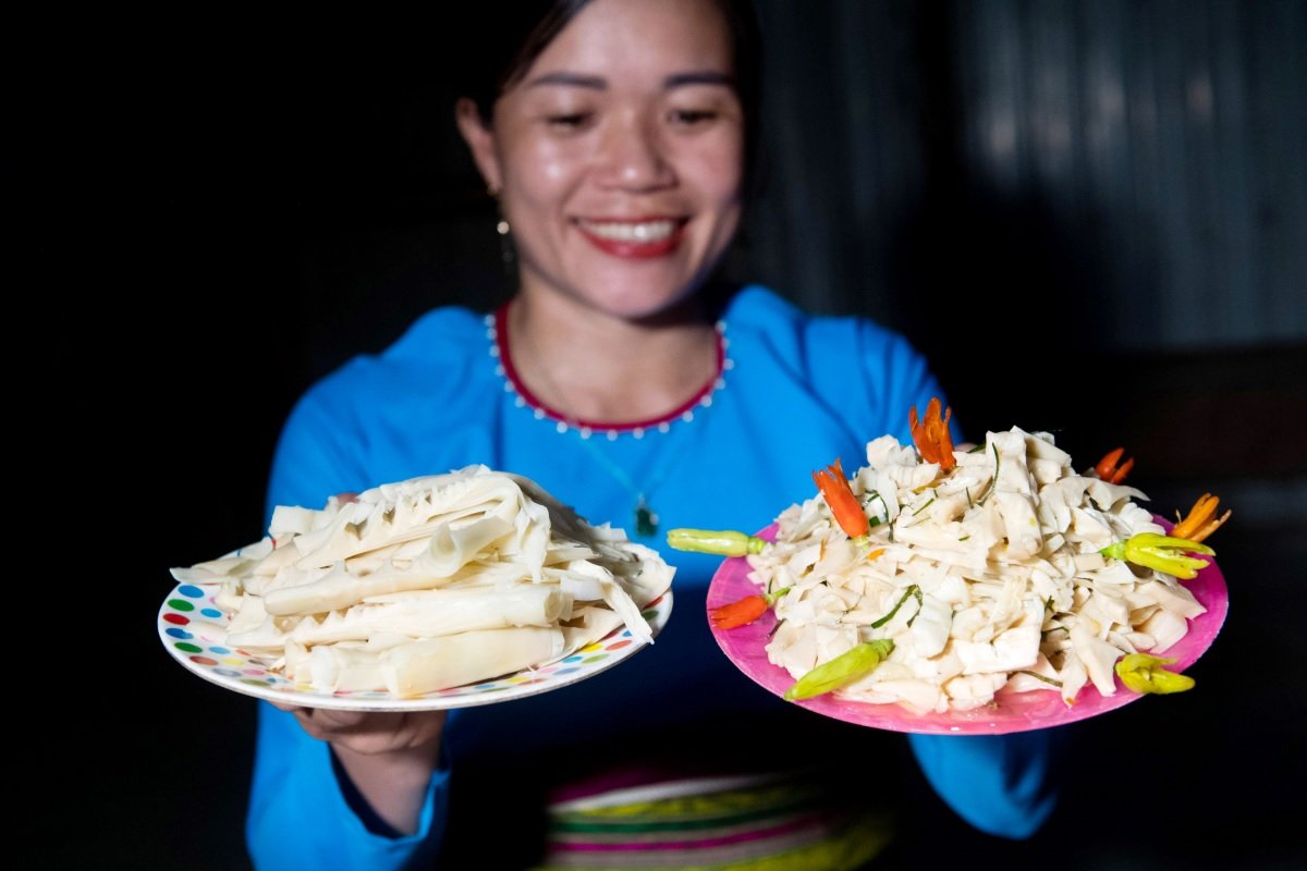 Khám phá món măng rừng miền núi & 8 tác dụng tuyệt vời 2 Món ngon măng rừng phổ biến tại vùng cao mỗi mùa măng đến.