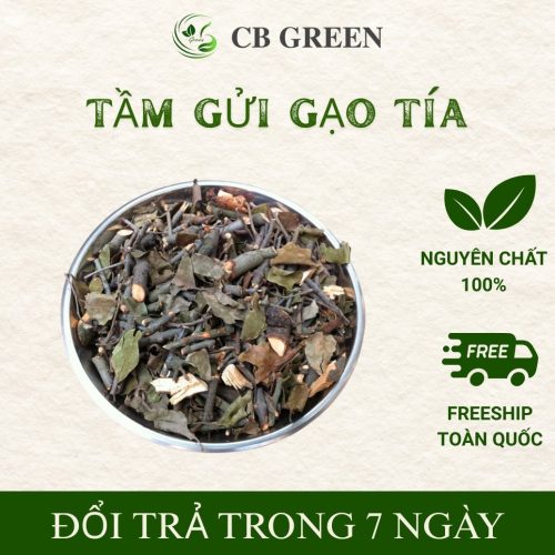 Tầm gửi gạo tía tại Cao Bằng Green