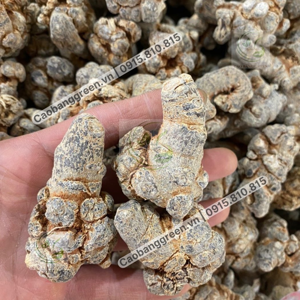 Củ Tam Thất Bắc - 250g 8 Củ tam thất bắc khô