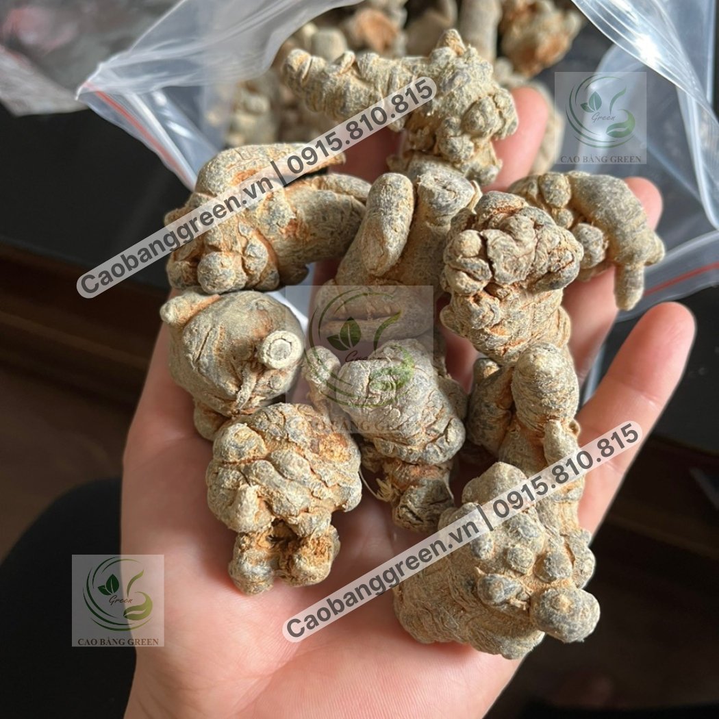 Củ Tam Thất Bắc - 250g 10 Mua Củ tam thất khô tại Cao Bằng Green.vn.