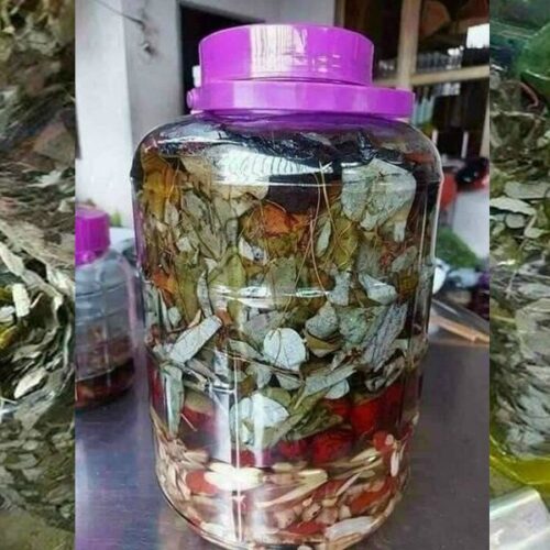 Dâm dương hoắc