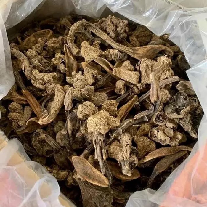 Nấm Ngọc Cẩu Khô - 1 Kg 11 Nấm ngọc cẩu khô