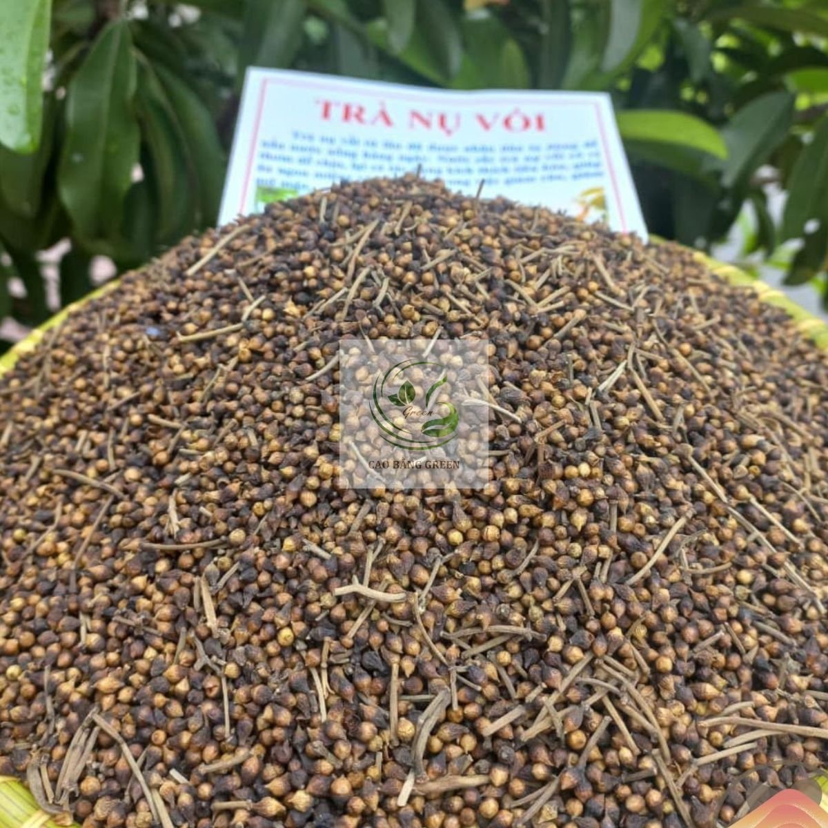 Nụ Vối Khô - 1 Kg 2 Trà nụ vối khô nguyên chất.
