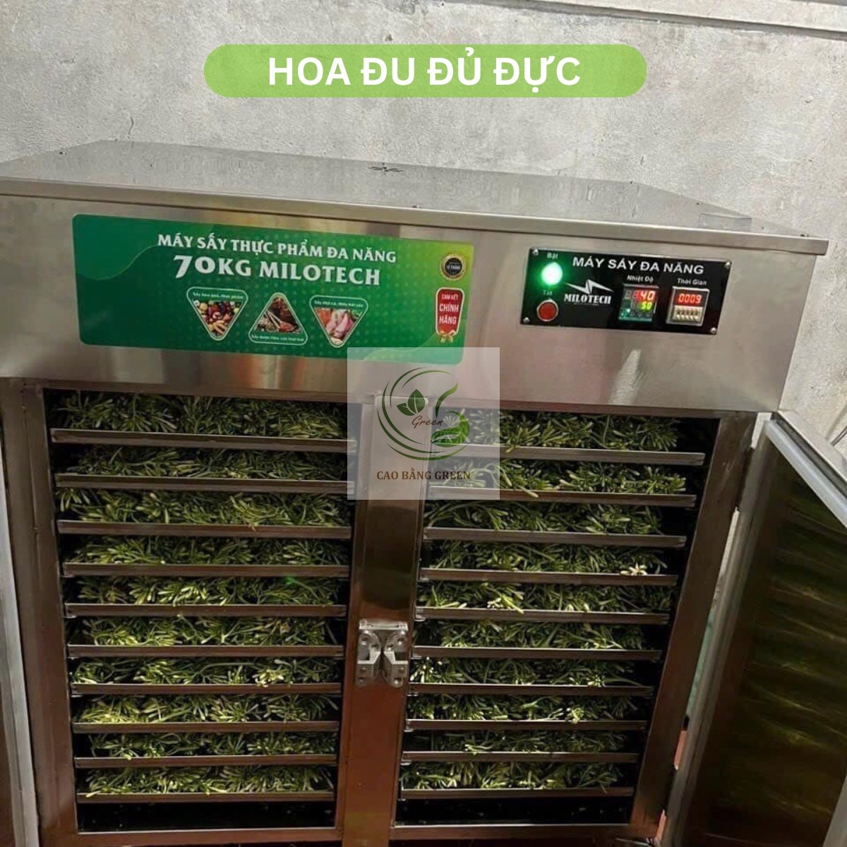 Hoa Đu Đủ Đực Khô - 500g 17 Quy trình sấy hoa đu đủ