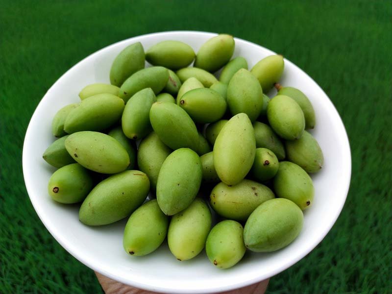 Quả trám xanh