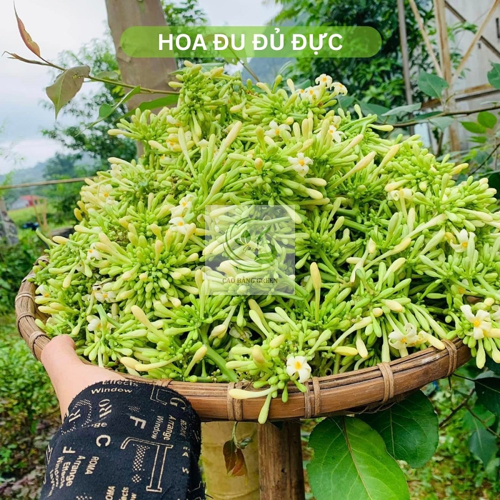 Hoa Đu Đủ Đực Khô - 500g 12 Hoa đu đủ đực tươi