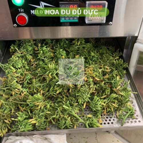 Hoa Đu Đủ Đực Khô - 500g 11 Hoa đu đủ sấy khô