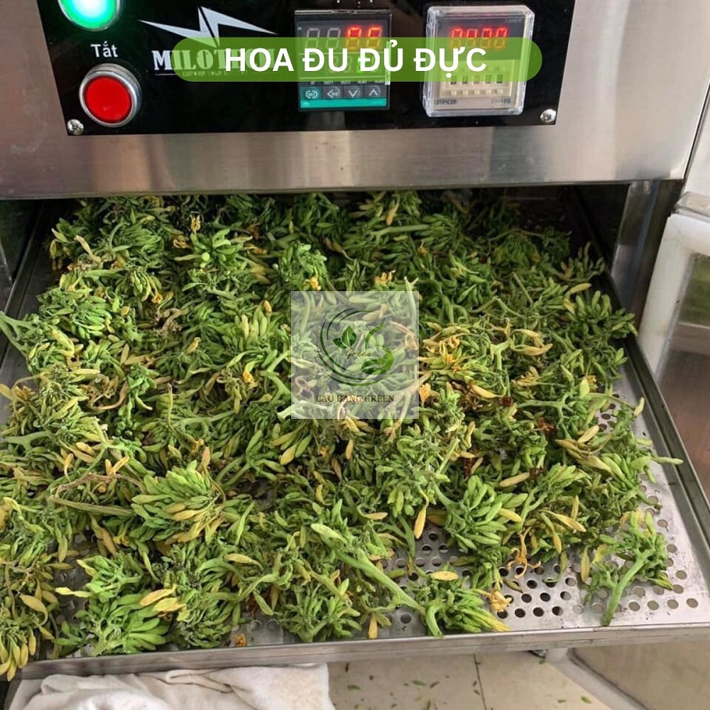 Hoa Đu Đủ Đực Khô - 500g 14 Hoa đu đủ sấy khô