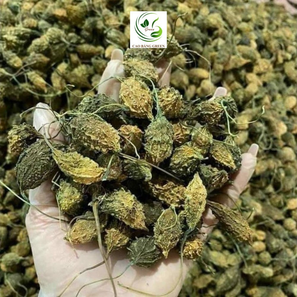 Khổ Qua Rừng Khô | 500g 10 Khổ qua rừng nguyên trái tại Cao Bằng Green