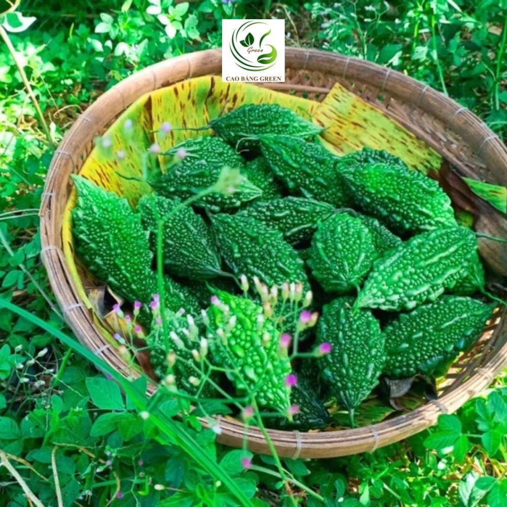 Khổ Qua Rừng Khô | 500g 8 Khổ qua tươi