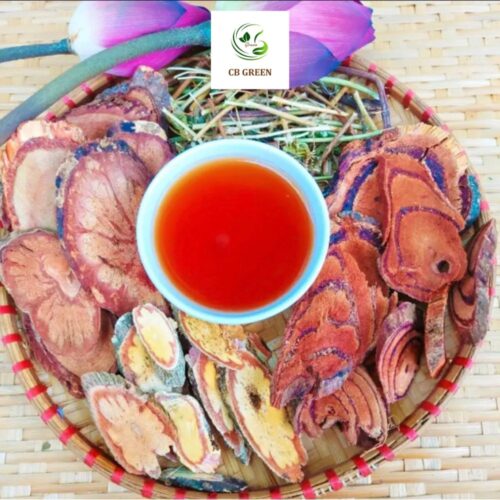 Dược liệu cây cỏ máu tại Cao Bằng Green