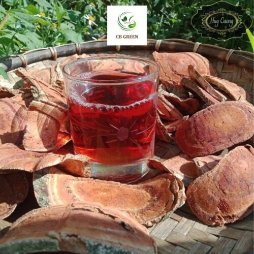 Cây bổ máu có tác dụng gì?