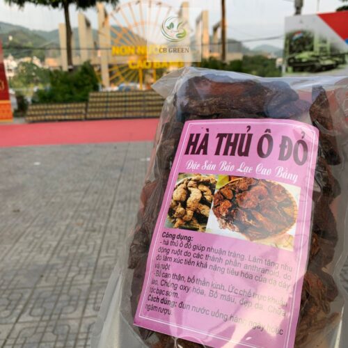 Hà thủ ô đỏ Cao Bằng đã lọc độc tố