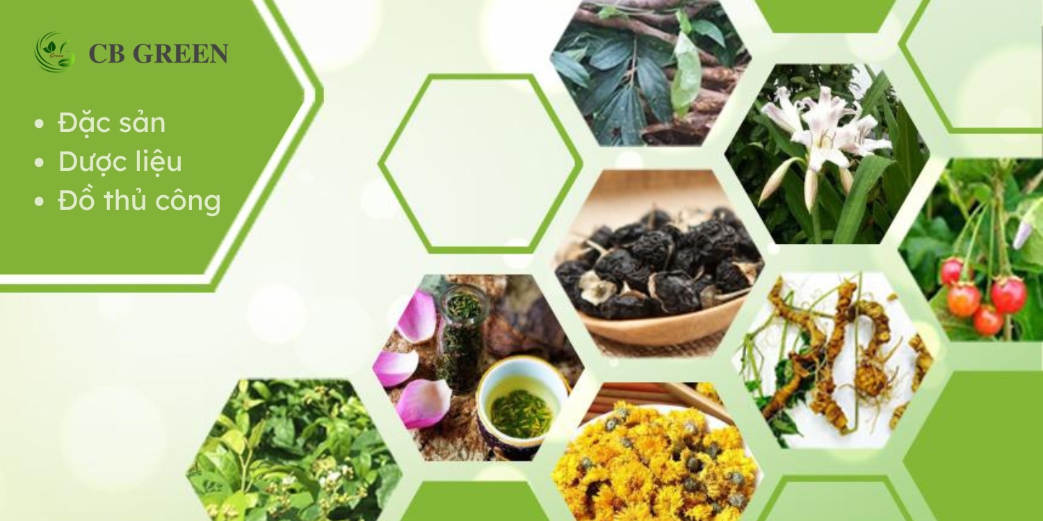 CAO BẰNG GREEN - Đặc Sản, Dược Liệu & Đồ Thủ Công 9 banner-Cao Bằng Green