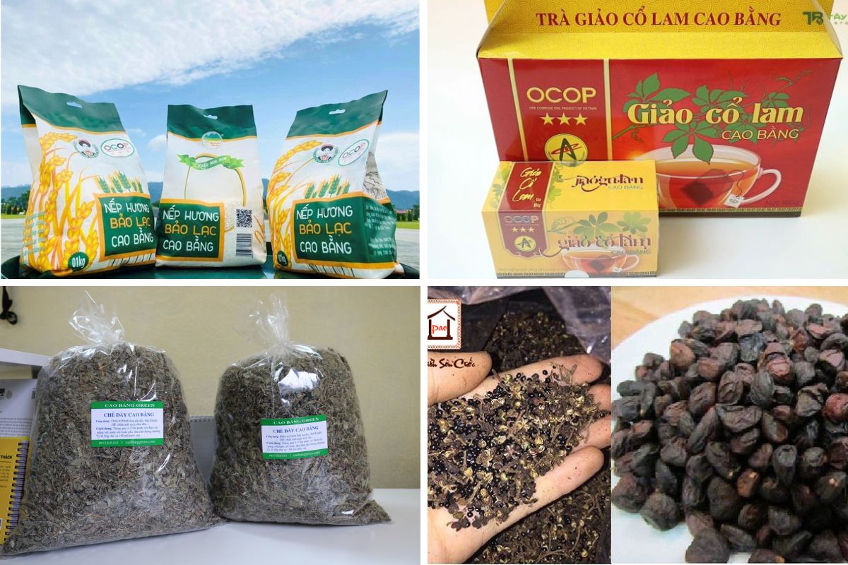 Đặc sản Cao Bằng: Top những món ngon nổi tiếng năm 2026 20 Đặc sản khô Cao Bằng