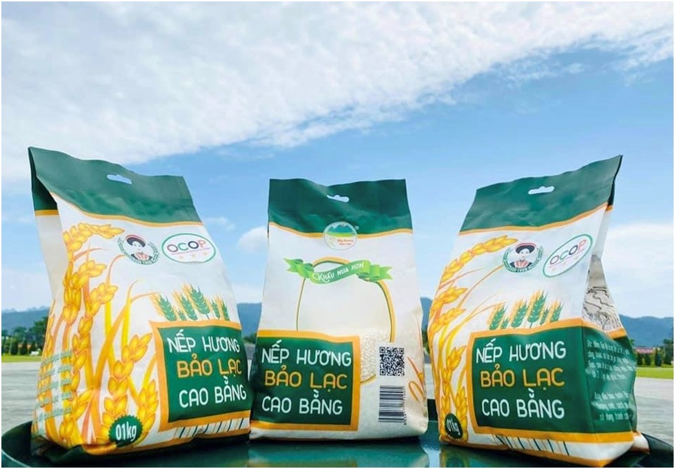 Đặc sản Cao Bằng: Top những món ngon nổi tiếng năm 2026 17 Gạo nếp nương Bảo Lạc Cao Bằng