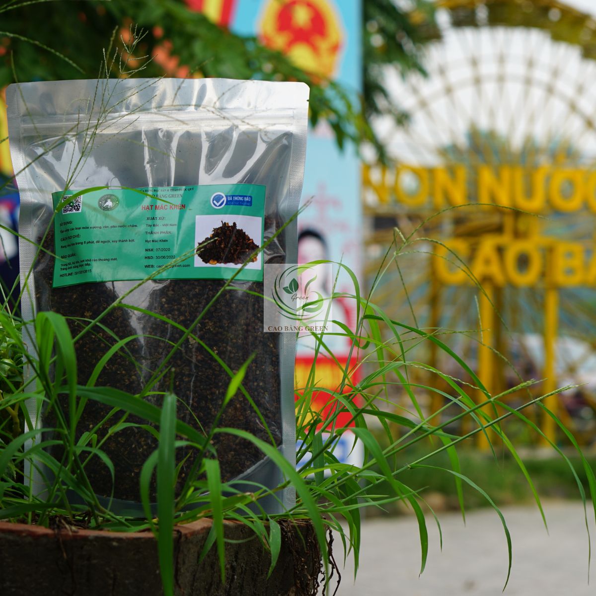 Hạt Mác Khén 3 Hạt mác khén Tây Bắc tại Cao Bằng Green