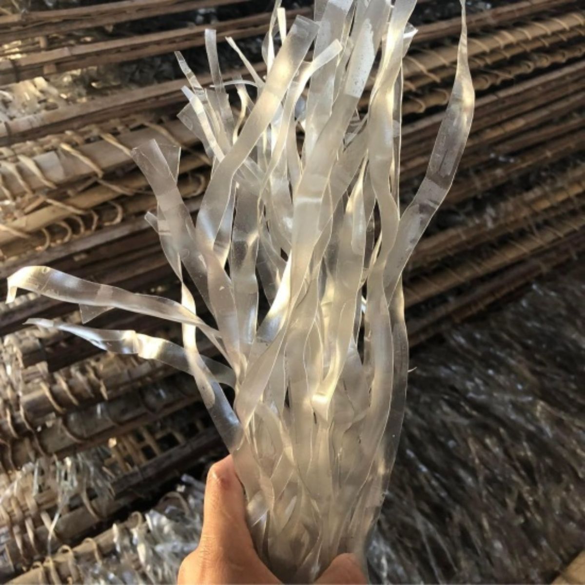 Miến Dong Sợi To Thái Tay Điện Biên - 1 Kg 4 Miến dong sợi to thái tay Mường Phăng Điện Biên - Cao Bằng Green